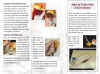 Feeding tube kit instructions, Page 1, 1000.jpg (224136 bytes)
