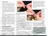 Feeding tube kit instructions, Page 2, 1000.jpg (234659 bytes)